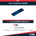SSD 256GB M.2 2280 NVME 32GB/S PCI-E 3.0 X4 CATEGORÍA DATACENTER
