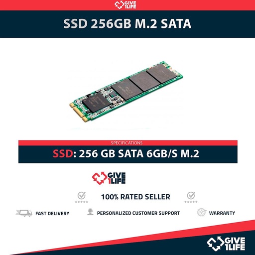 [1603] SSD 256GB M.2 2280 SATA 6GB/S PCI-E 3.0 CATEGORÍA DATACENTER