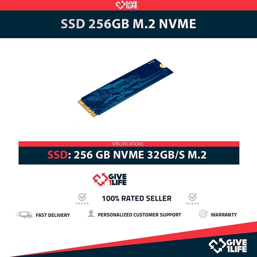 [1604] SSD 256GB M.2 2280 NVME 32GB/S PCI-E 3.0 X4 CATEGORÍA DATACENTER