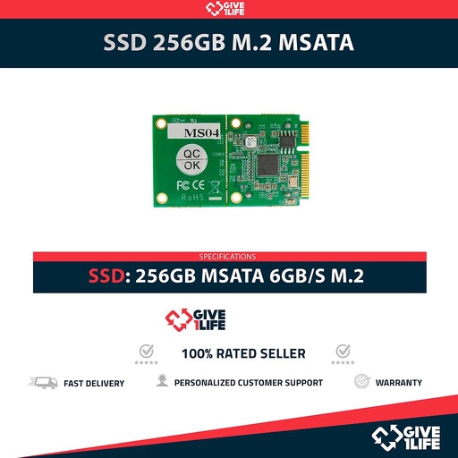 [1609] SSD 256GB M.2 MSATA 6GB/S CATEGORÍA DATACENTER