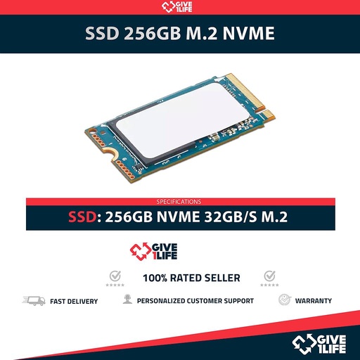 [1611] SSD 256GB M.2 2242 NVME 32GB/S CATEGORÍA DATACENTER